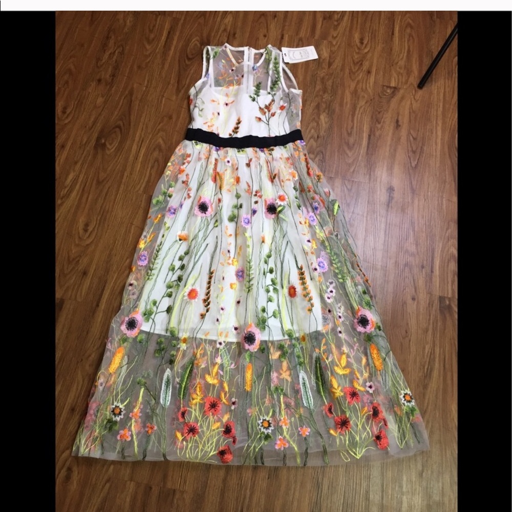 Coeur De Vague sheer floral embroidery dress